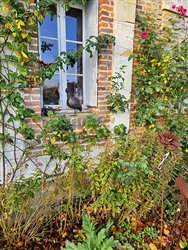 tourville-sur-arques (11)